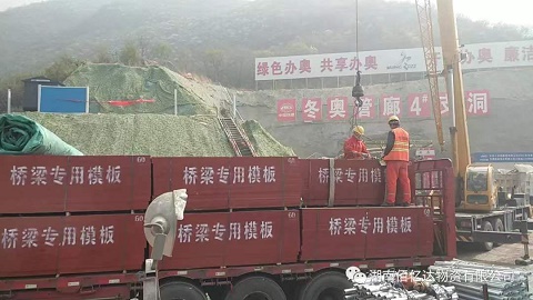 桥梁专用模板生产厂家