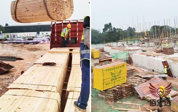 广东佛山建筑方木卸车场景图